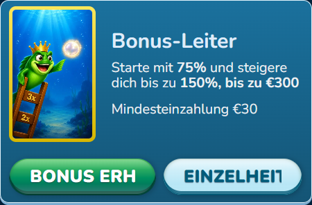 Bonus Bedingungen Leiter dreihundert Euro Mindesteinzahlung