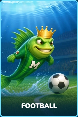 Football Fußball Kategorie Fisch Sportkleidung Ball Stadion