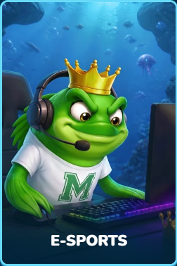 E-Sports Cyberkontent Kategorie Fisch Kopfhörer Computer Tastatur